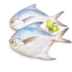 ماهی حلوا سفید عروس جنوب