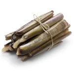 صدف استوانه ای