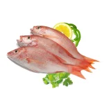 ماهی سلطان ابراهیم گندمو