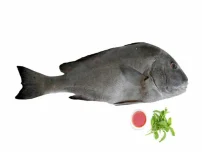 خنو خاکستری