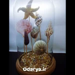 گوی شیشه ای طرح دریایی