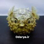 تاکسیدرمی ماهی فوگل زیبا