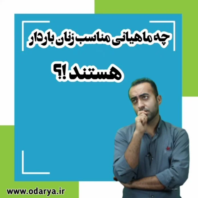 آیا در بارداری ماهی مصرف کنند